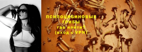 крисы Арсеньев