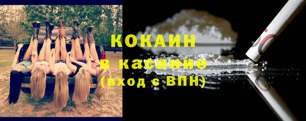 крисы Арсеньев