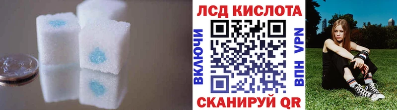 shop состав  продажа наркотиков  Боготол  ЛСД экстази ecstasy 